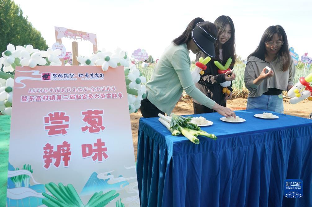 波克捕鱼为什么老掉线